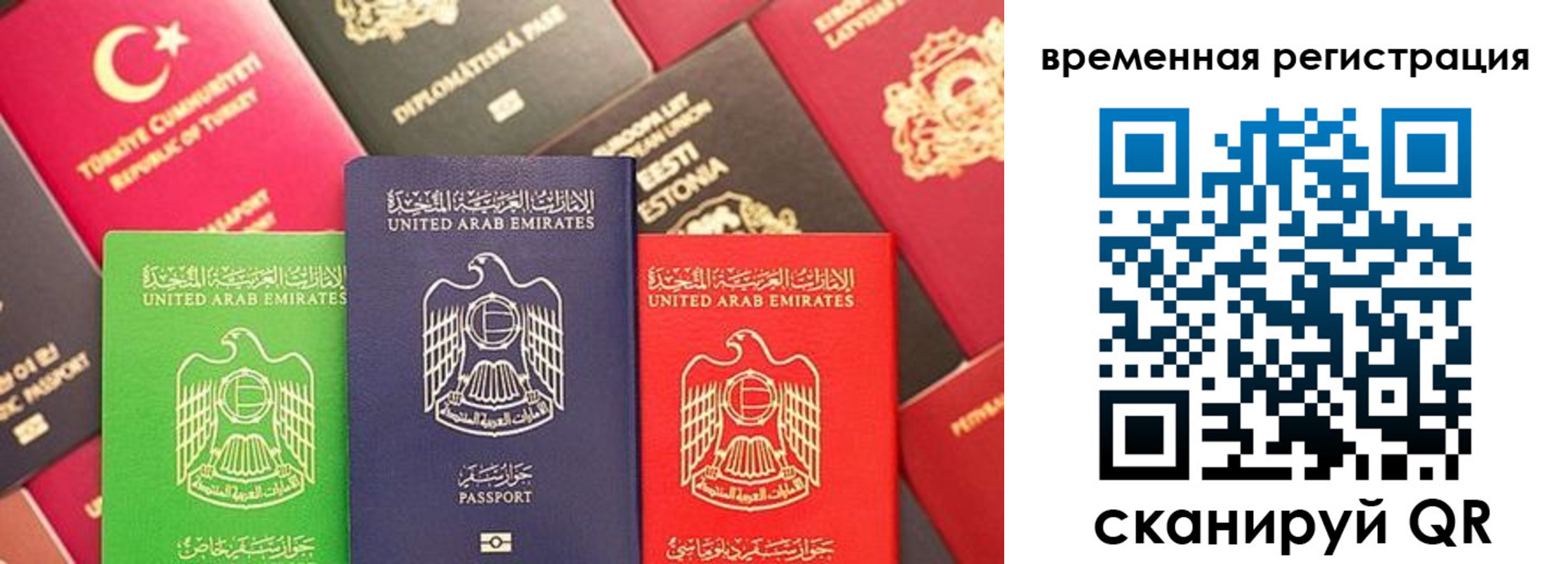 временная регистрация гарантия в Вытегре